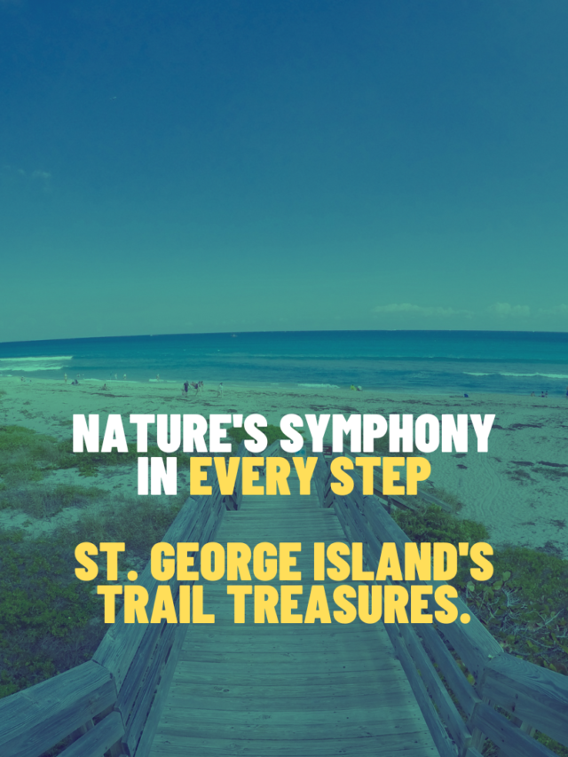 St. George Island's Trail Treasures.