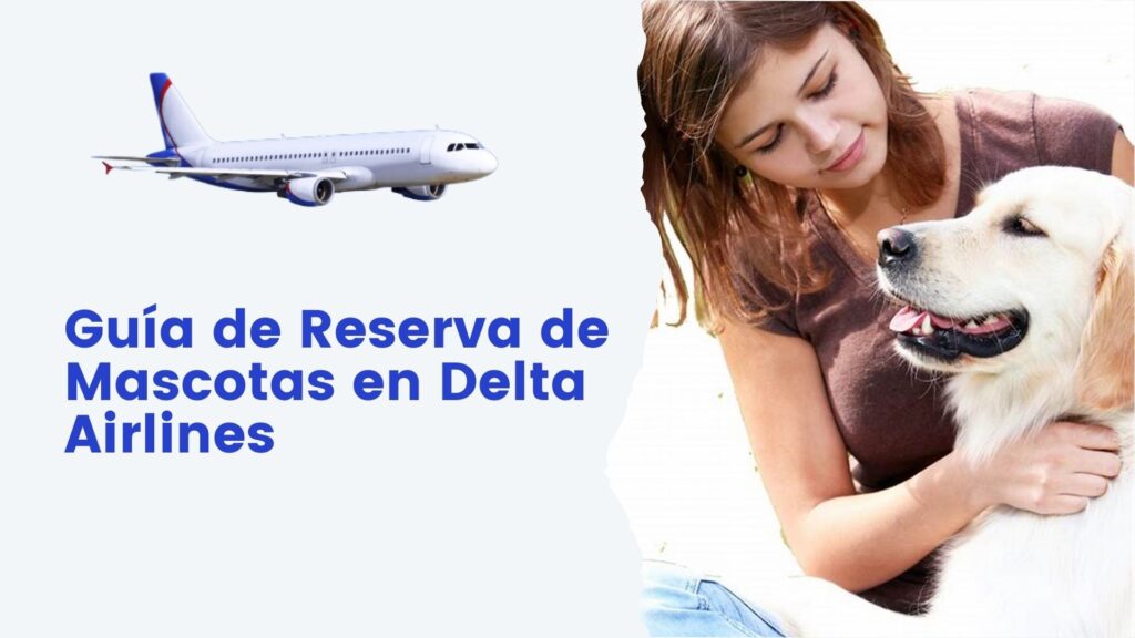 Pet Reservation Guide on Delta Airlines