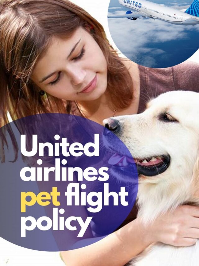 United airlines pet flight policy