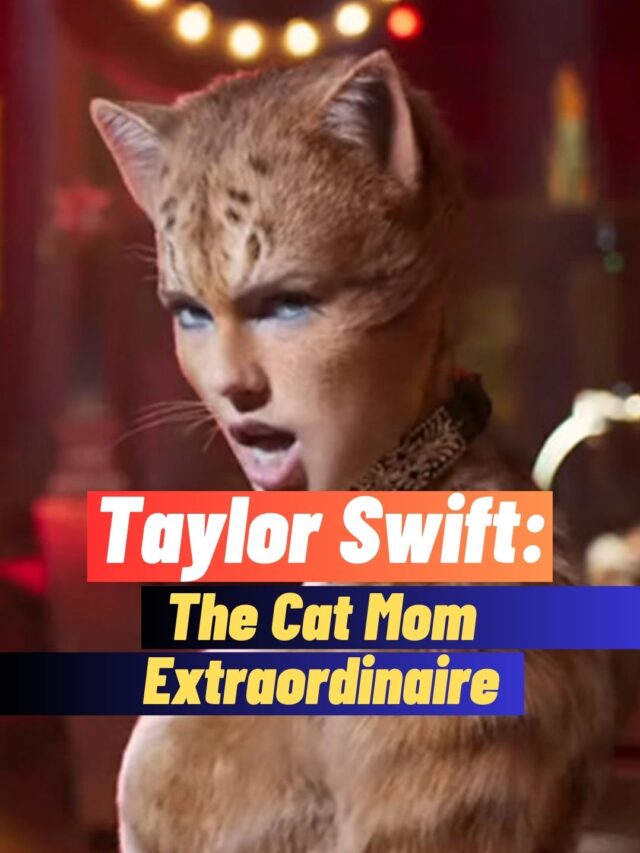 Taylor Swift’s Cats