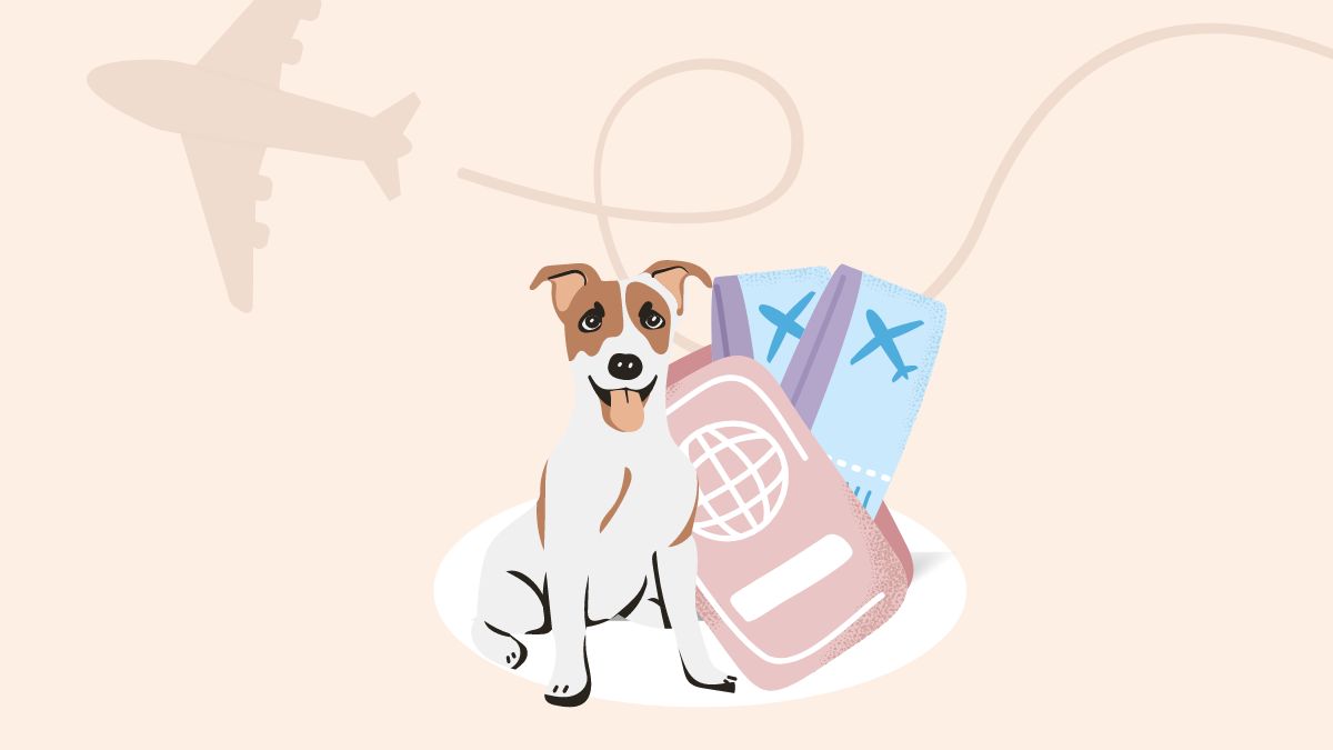 What travel fees do major airlines charge for pets