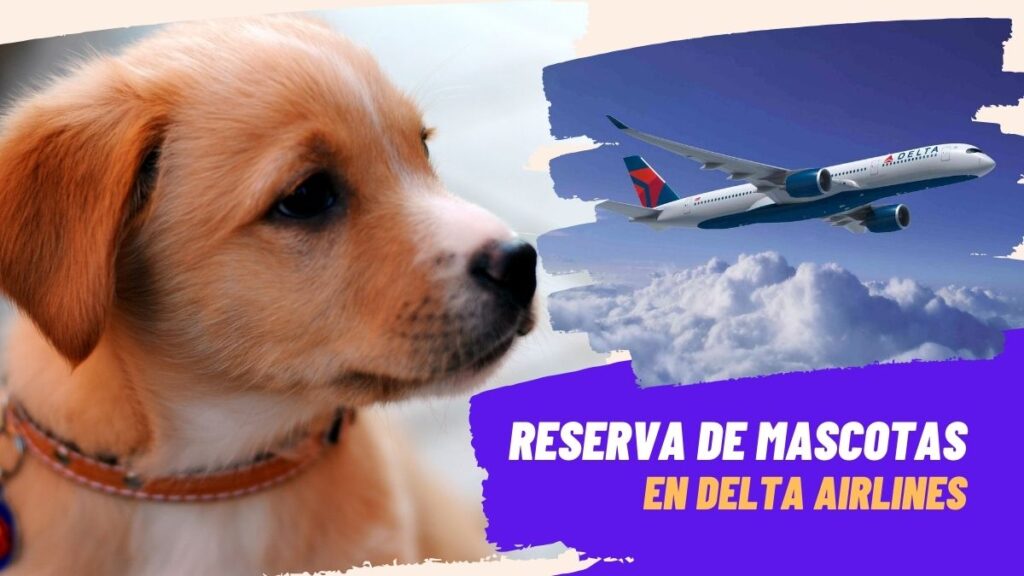 Procedimiento de reserva de mascotas en Delta Airlines