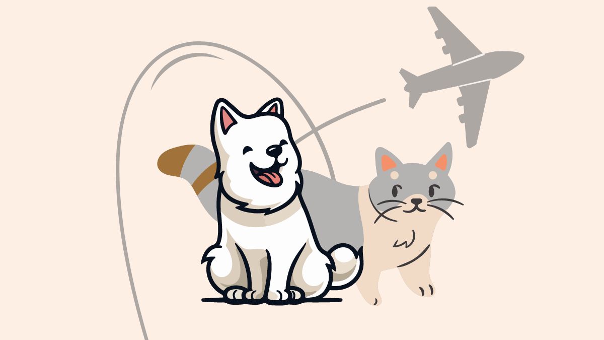 Top Pet-friendly Airlines