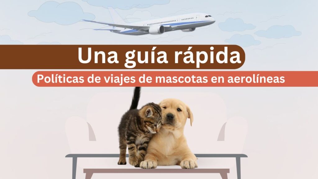 Políticas de viajes de mascotas en aerolíneas